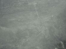 前を向いて背筋を伸ばして-ハチドリ