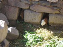 前を向いて背筋を伸ばして