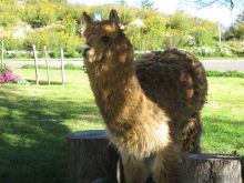 前を向いて背筋を伸ばして