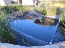 前を向いて背筋を伸ばして