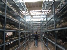 前を向いて背筋を伸ばして