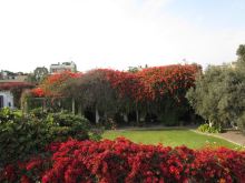 $前を向いて背筋を伸ばして