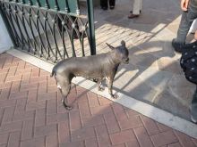 $前を向いて背筋を伸ばして